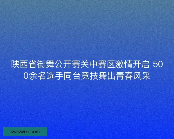 陕西省街舞公开赛关中赛区激情开启 500余名选手同台竞技舞出青春风采